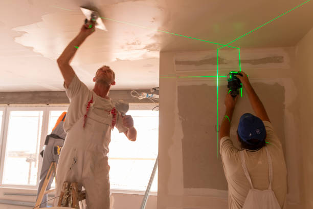 Best Drywall Sanding and Smoothing  in Glencoe, MN